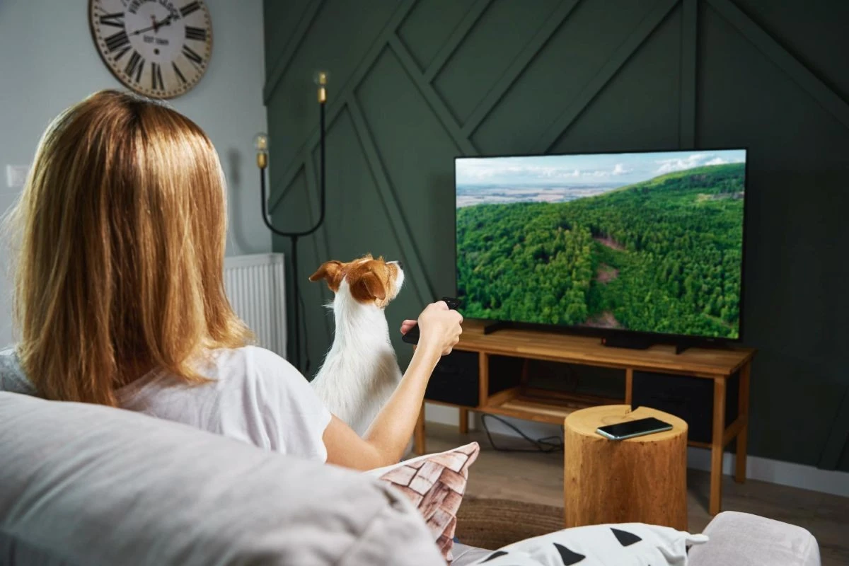 Your TV is Watching You: How to Stop Smart TVs from Collecting Your Data
