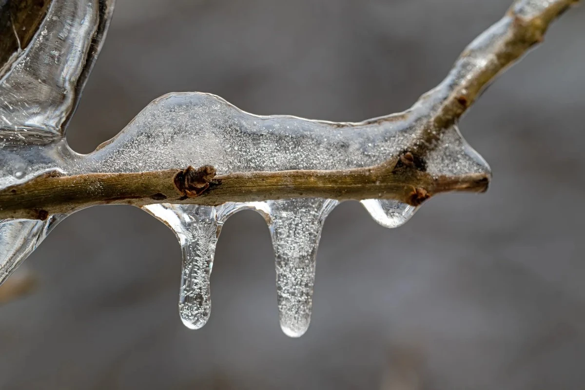 El anticiclón Daniel se retira, pero la calma meteorológica en Lituania ¡solo será una ilusión!