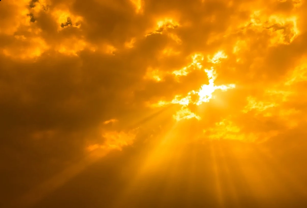 2026: El número 1 abre un ciclo de poder para redirigir tu vida