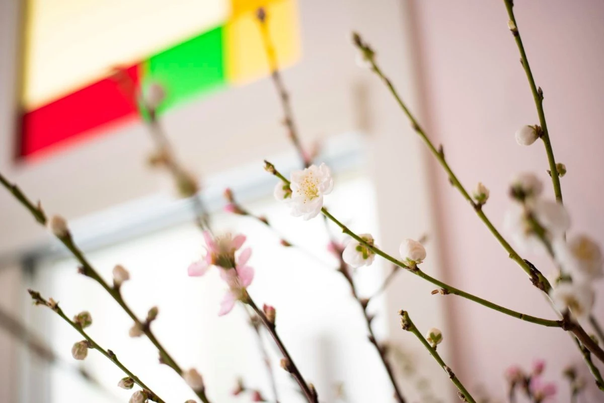 El invierno no cede: los meteorólogos advierten sobre la próxima primavera en Lituania y cómo prepararse