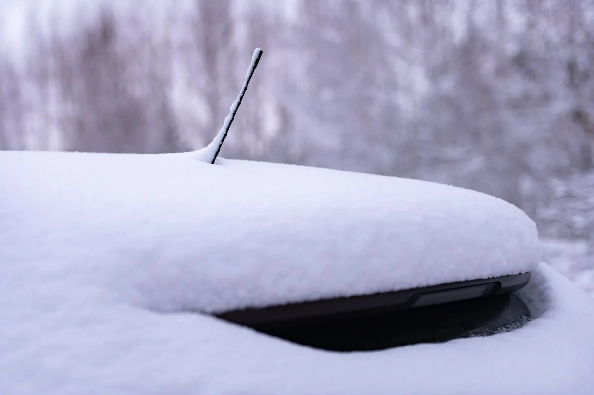 De la simple varilla al "aleta de tiburón": por qué las antenas de los coches han cambiado radicalmente y qué hacen realmente