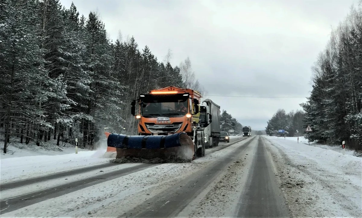 La trampa helada: por qué los conductores de tu ciudad ignoran este peligro de hielo negro