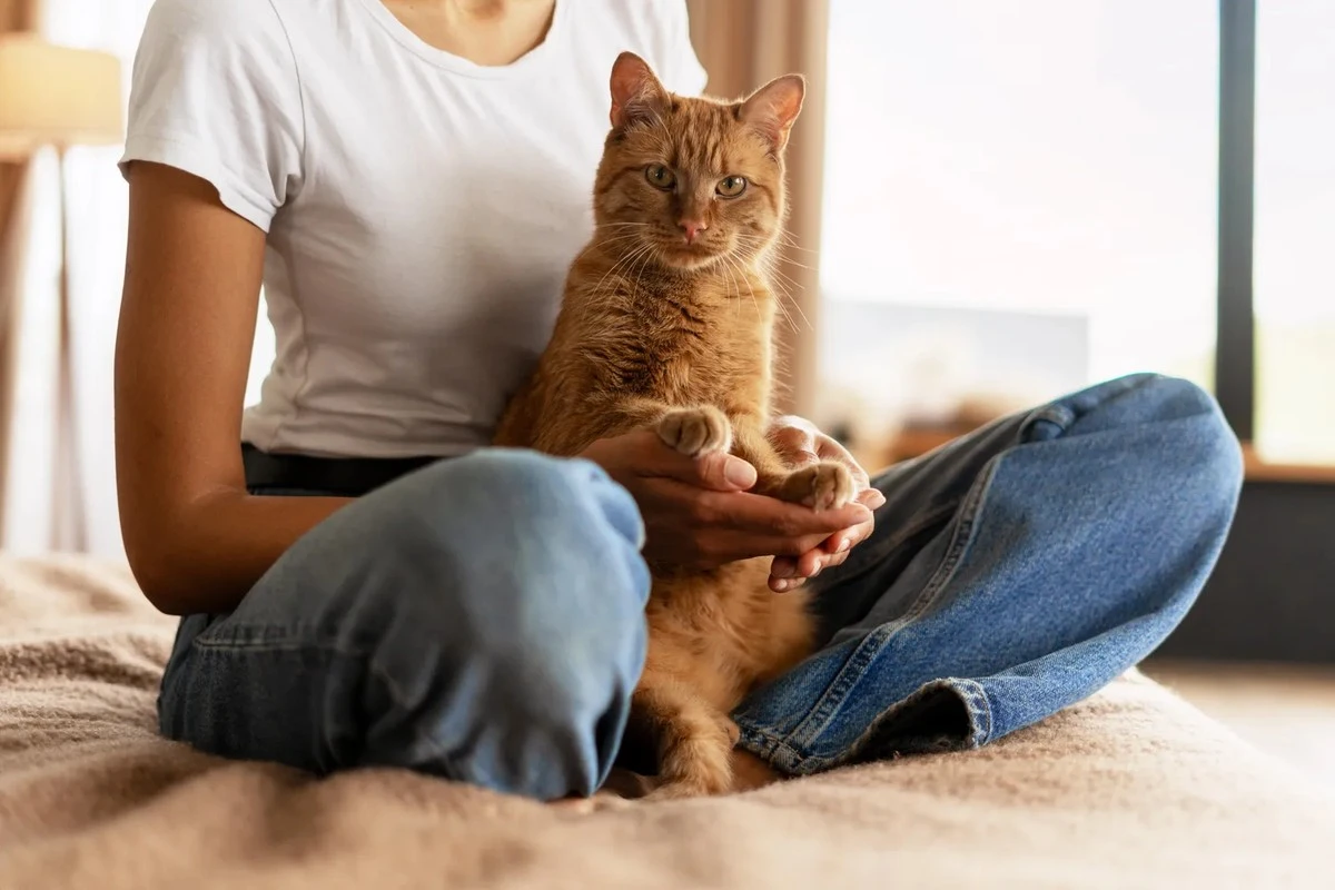 El código secreto de la felicidad felina: 3 señales que demuestran que tu gato te adora