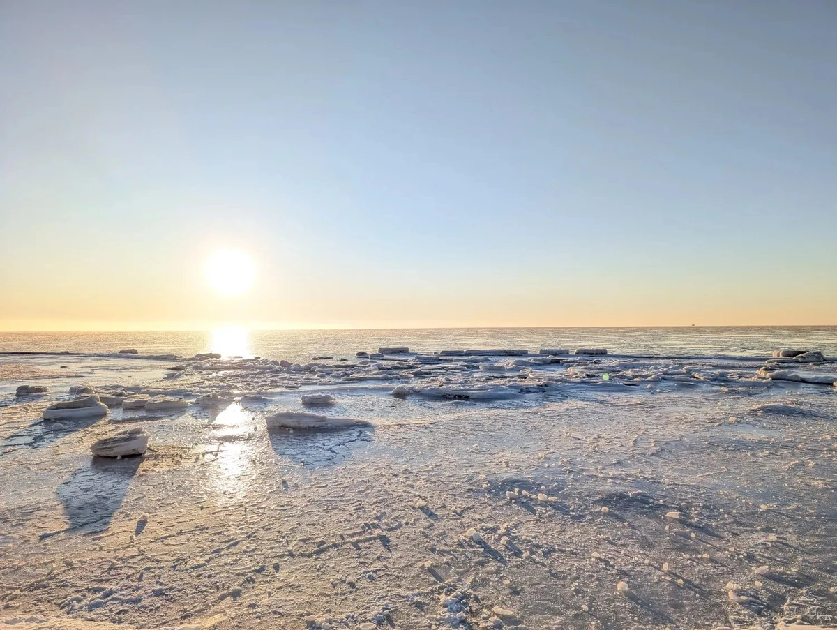 Ruta dorada sobre el hielo: el mar Báltico regala un espectáculo invernal en Palanga