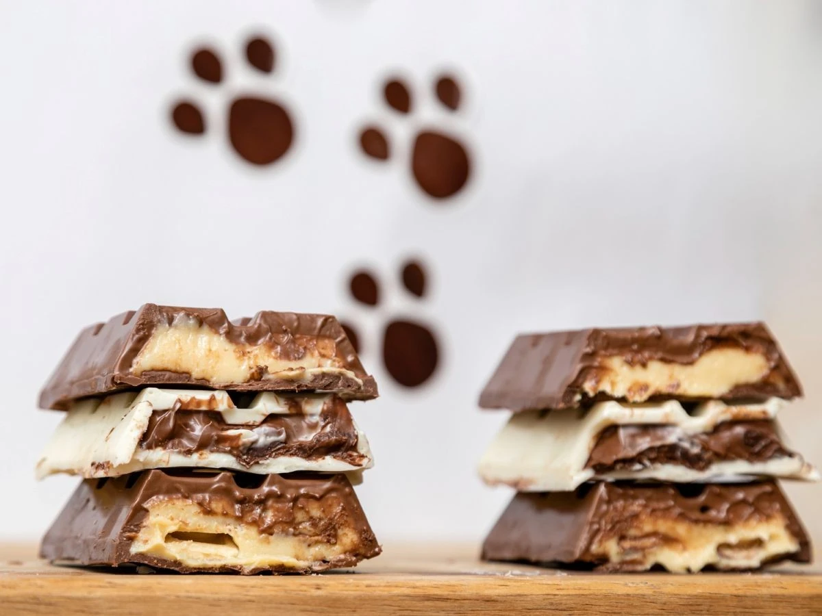 El chocolate bajo llave: por qué las tiendas británicas lo están encerrando y cómo afecta tu compra