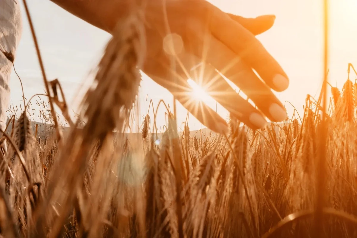 Amor sin filtros: la semana del 9 al 15 de febrero revelará quién ama de verdad y quién solo aparenta
