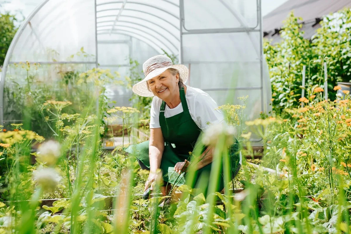 7 Verduras Que Prosperan en la Sombra y Sorprenderán a Tu Huerto