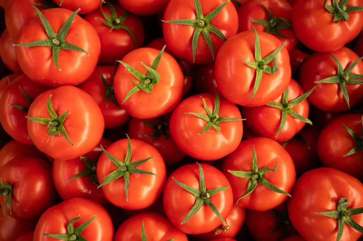 Planta ajo cerca de tus tomates: el secreto para un sabor más intenso