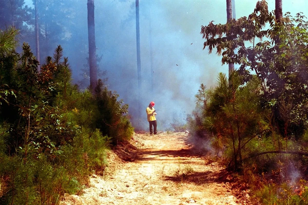 El humo de los incendios forestales: un asesino silencioso que amenaza tu salud más de lo que crees