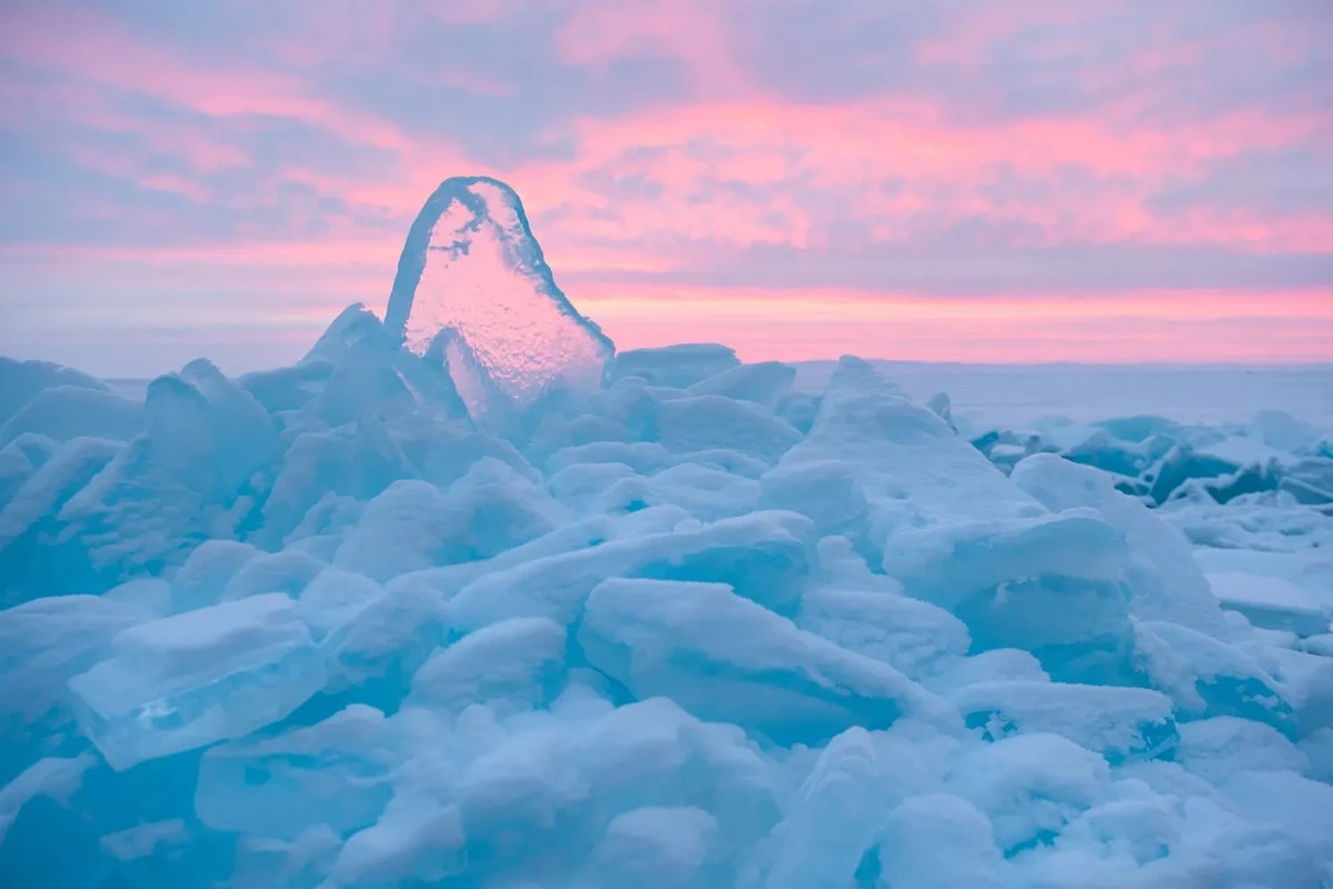 Invierno extremo: protégete del frío polar mientras miras por la ventana a los valientes sin guantes
