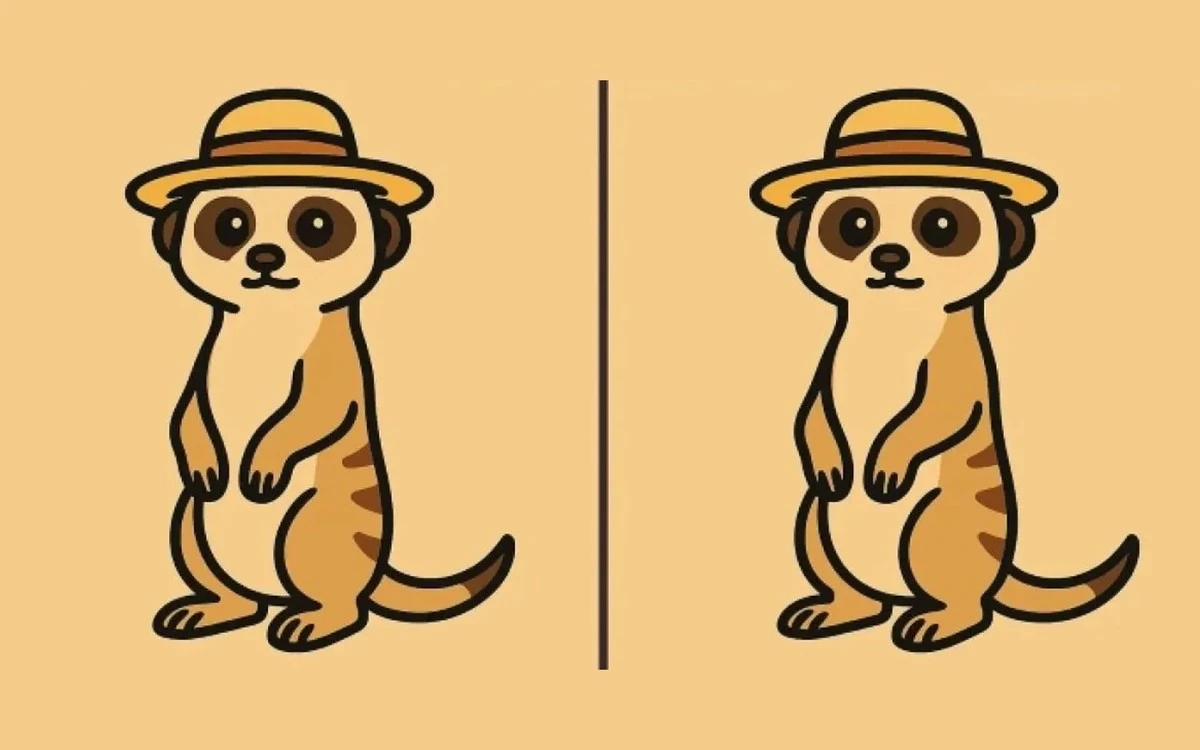 ¿Puedes ver las 3 diferencias en la imagen de la suricata en 49 segundos?