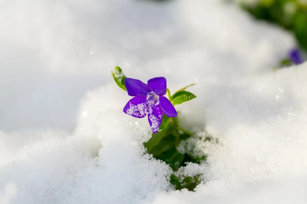 La engañosa primavera y las tormentas que trae: prepárate para la furia del Atlántico