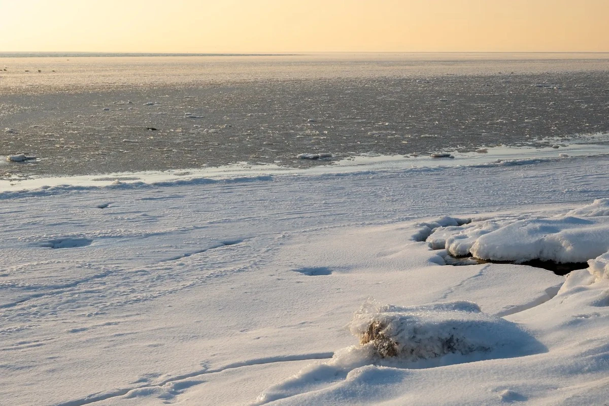 El mar Báltico se convierte en un escenario de hielo: un espectáculo así tarda años en aparecer, pero la línea es clara: aquí es cuando realmente se congela