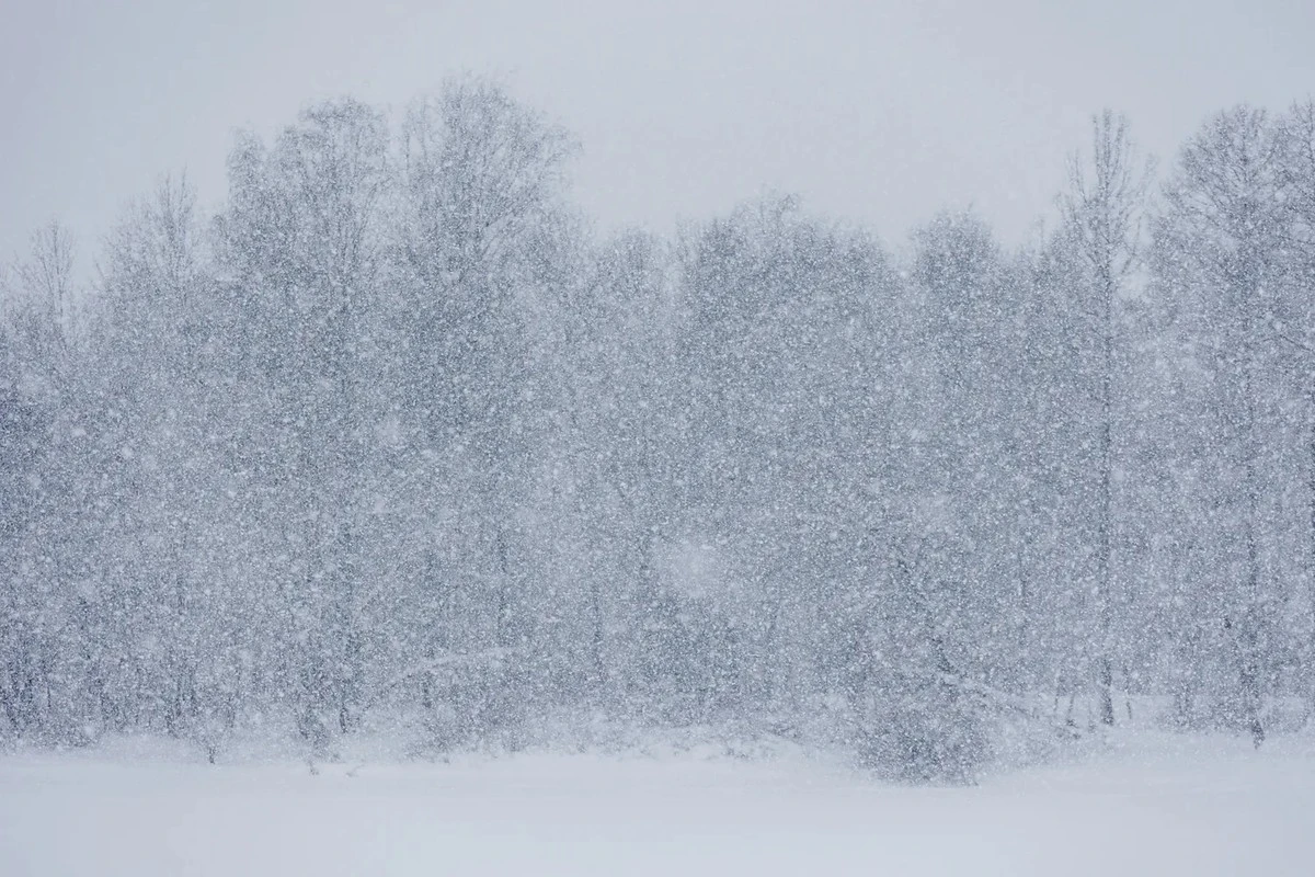 Ciclón "Kristina" se acerca a los países bálticos: ¿sentirá Lituania su influencia y dónde podría nevar en los próximos días?