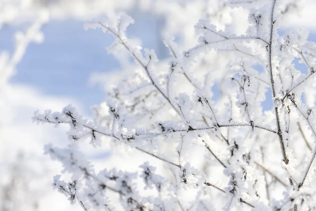 Meteorólogo letón advierte: "Ya no estamos preparados para este frío" — y para Lituania es un escenario muy familiar