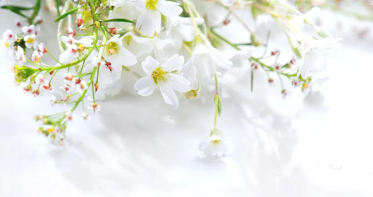 Un día de primavera desvela el clima de todo el año: el secreto de los agricultores centenarios