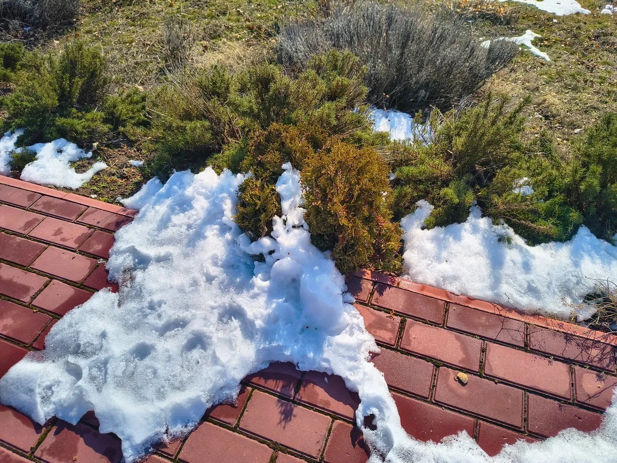 La primavera llega a Lituania: el deshielo esperado se retrasa, ¿cuándo desaparecerá la nieve?