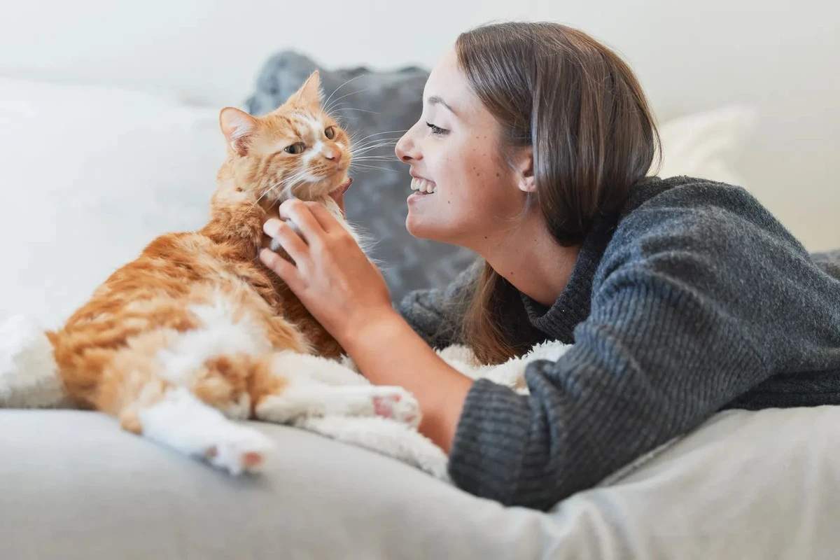 ¿Tu gato necesita un amigo? Por qué no deberías apresurarte a adoptar otra mascota