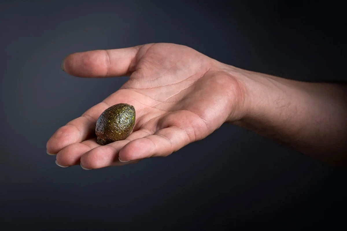 Caviar Cítrico: Estas "huevas" comestibles revientan en tu boca y cambian tu idea de la comida saludable