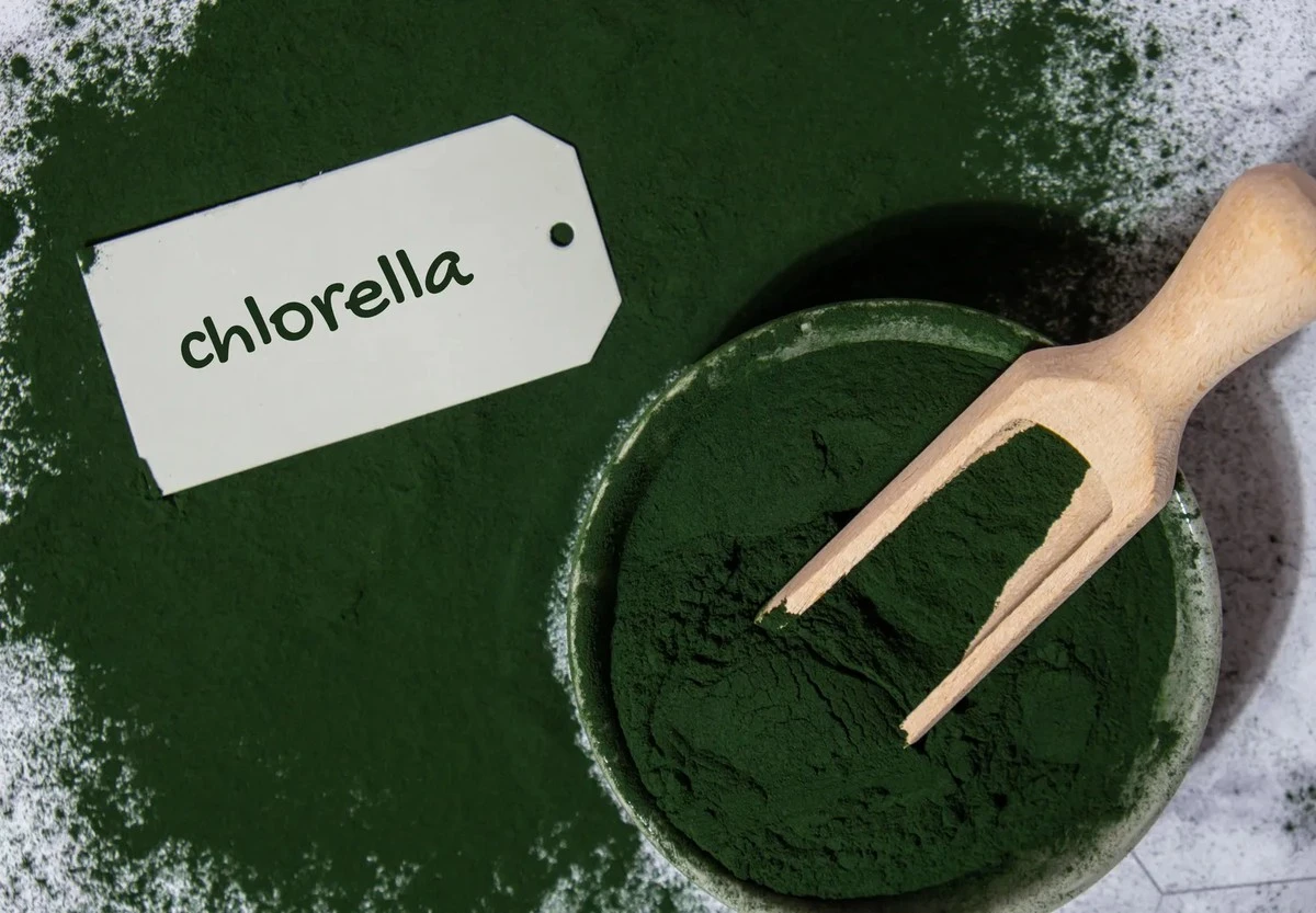 Chlorella: el alga verde que revoluciona tu bienestar, sin trucos ni promesas vacías