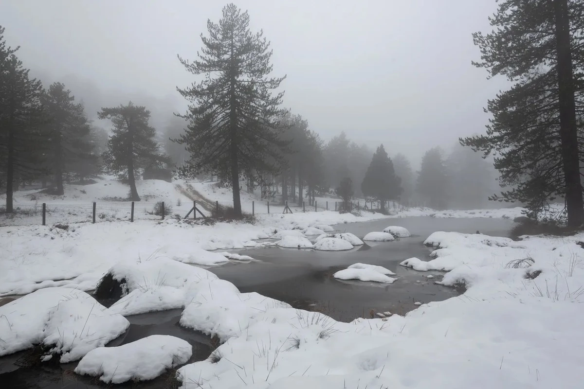 La señal del tiempo en España se tiñó de gris: ¿volverá el frío extremo en febrero?