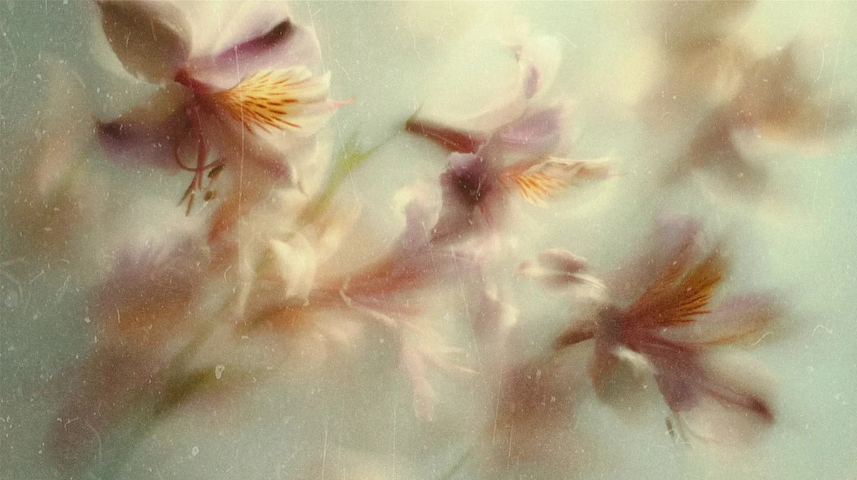 ¿Verano en mayo? Los meteorólogos de Letonia sorprenden con su pronóstico de primavera temprana y verano cálido