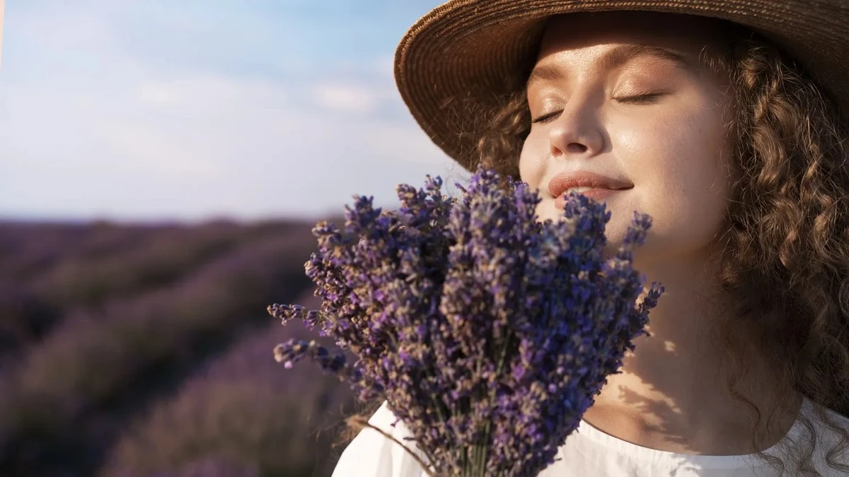 7 secretos para conseguir un huerto de lavanda vibrante y aromático