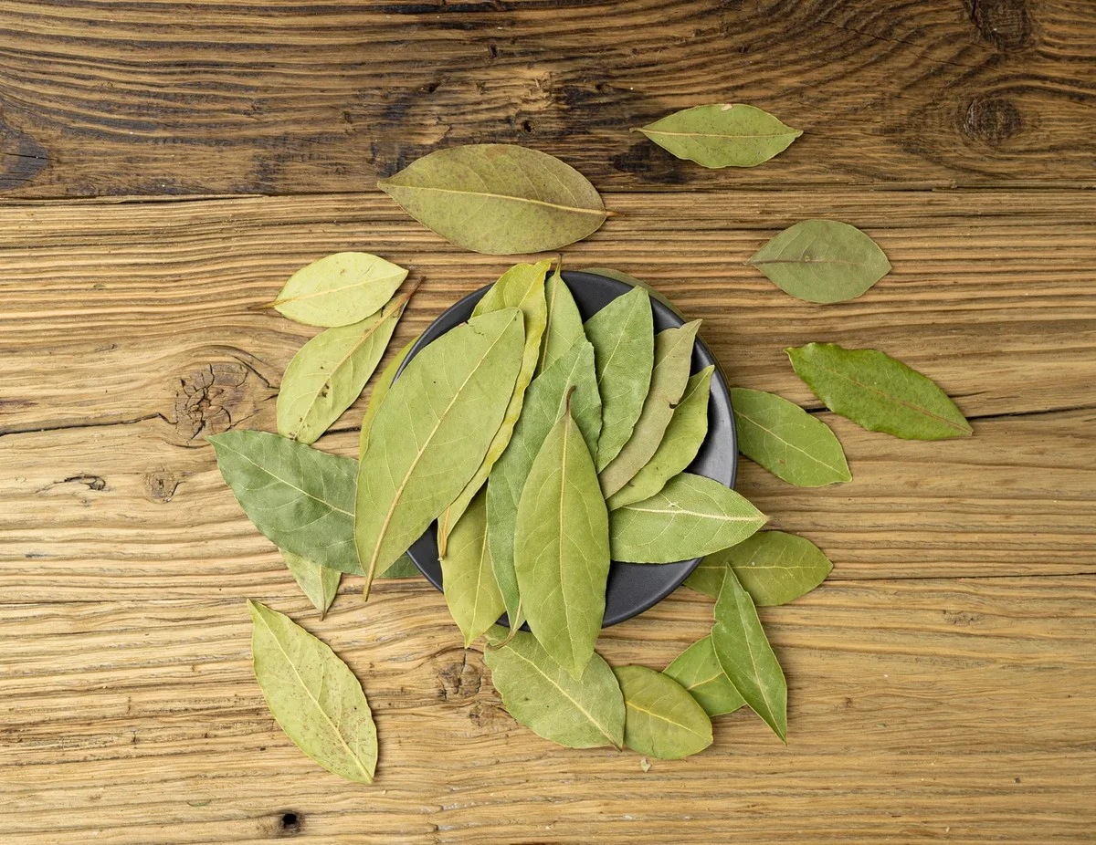 Ni creas que es solo para cocinar: lo que el laurel hace por tu baño es un milagro aromático