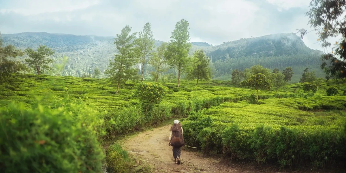 10 destinos irresistibles para tu aventura en solitario en 2026