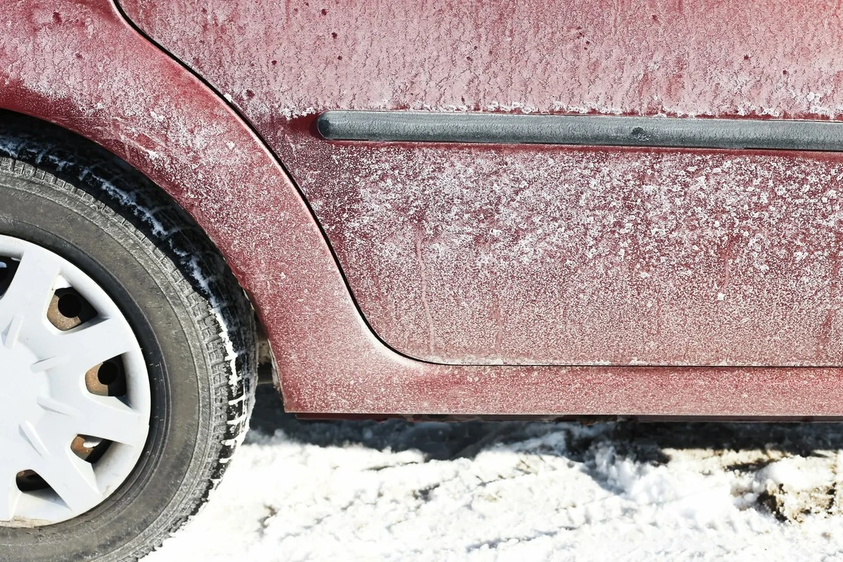 Por qué Alemania lo prohibió y en Lituania se usa sin medida: el hábito silencioso que mata la naturaleza a nuestros pies