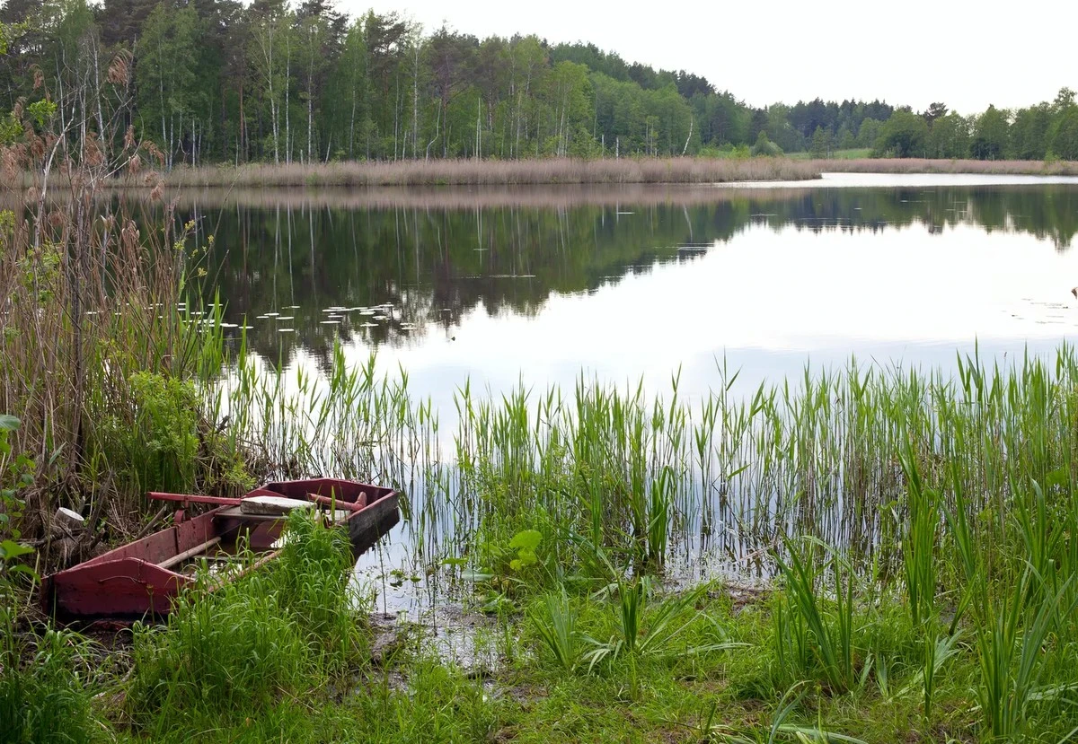 Aumento de ríos en Lituania: ¿Por qué 2050 podría traer inundaciones catastróficas?