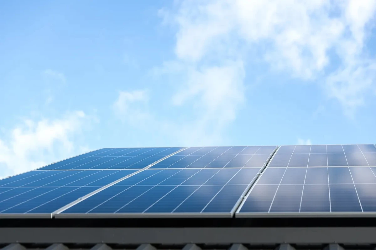 La Truculenta Realidad: Cómo una Sonrisa de Proveedor Eléctrico Te Cobra €150 por Nada al Mes