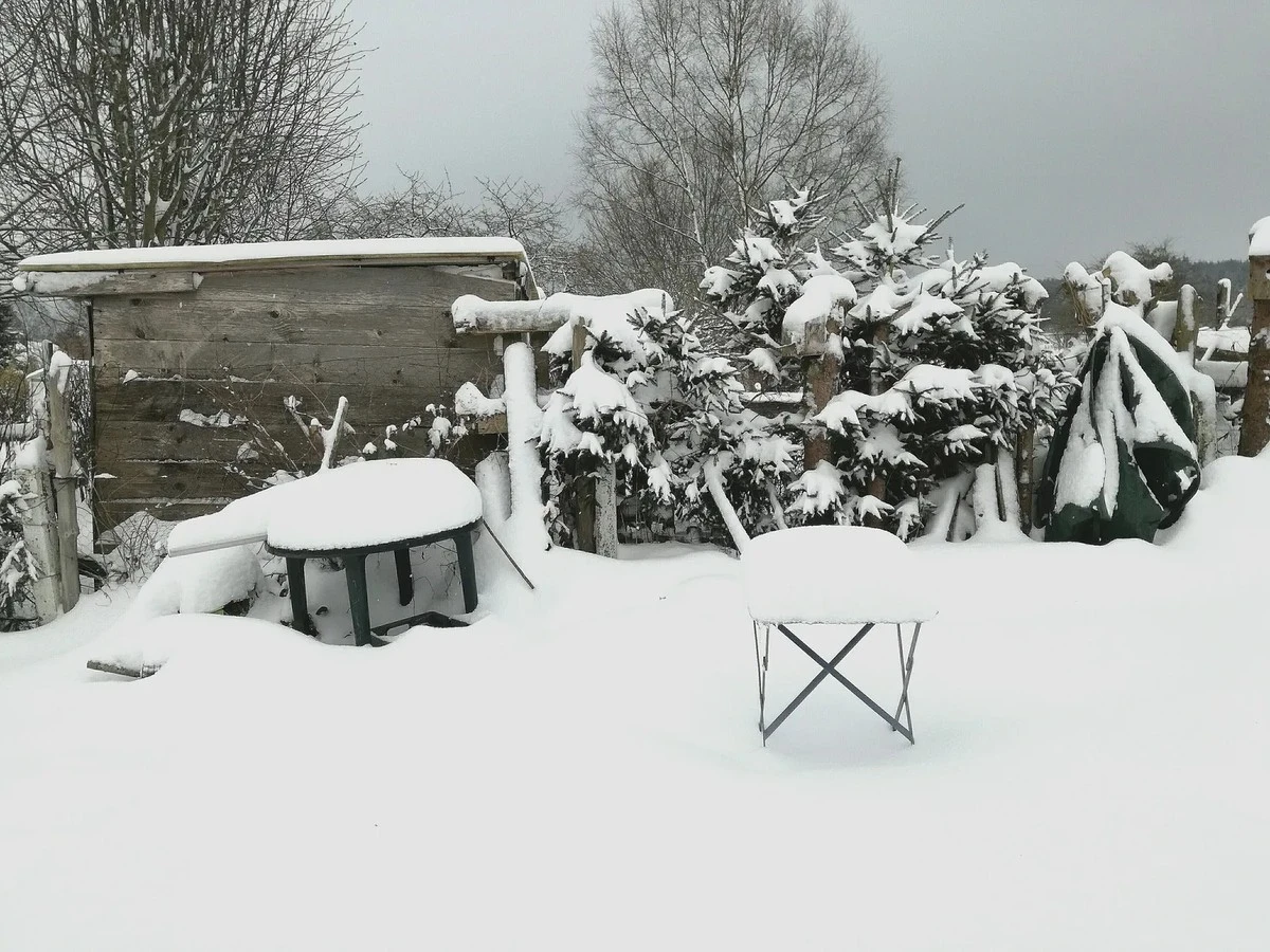 Por qué acumular nieve en tu jardín ahora puede reemplazar costosos fertilizantes en primavera